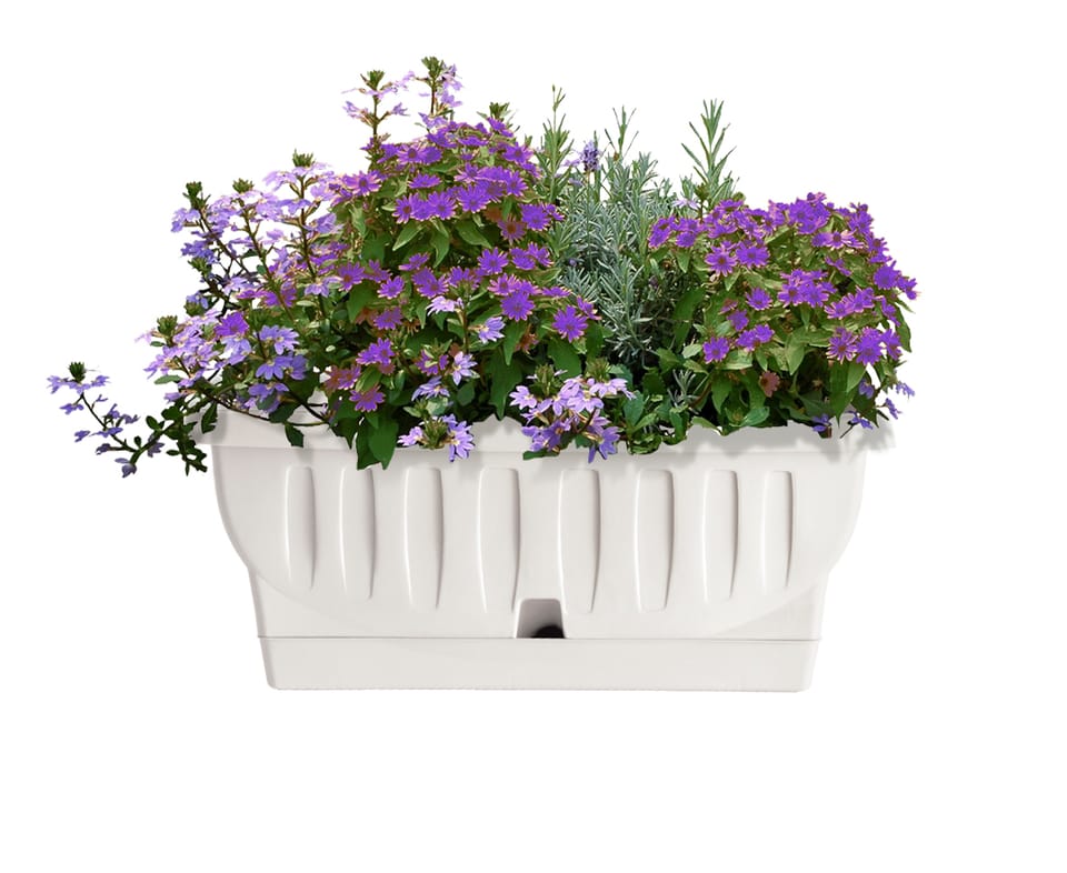 La nuova collezione di vasi White Garden 3