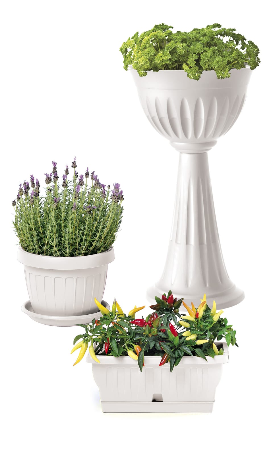 La nuova collezione di vasi White Garden 4
