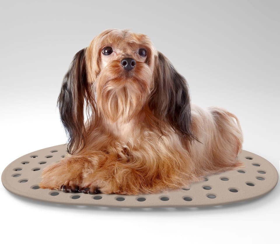 Tappeto relax per animali 2