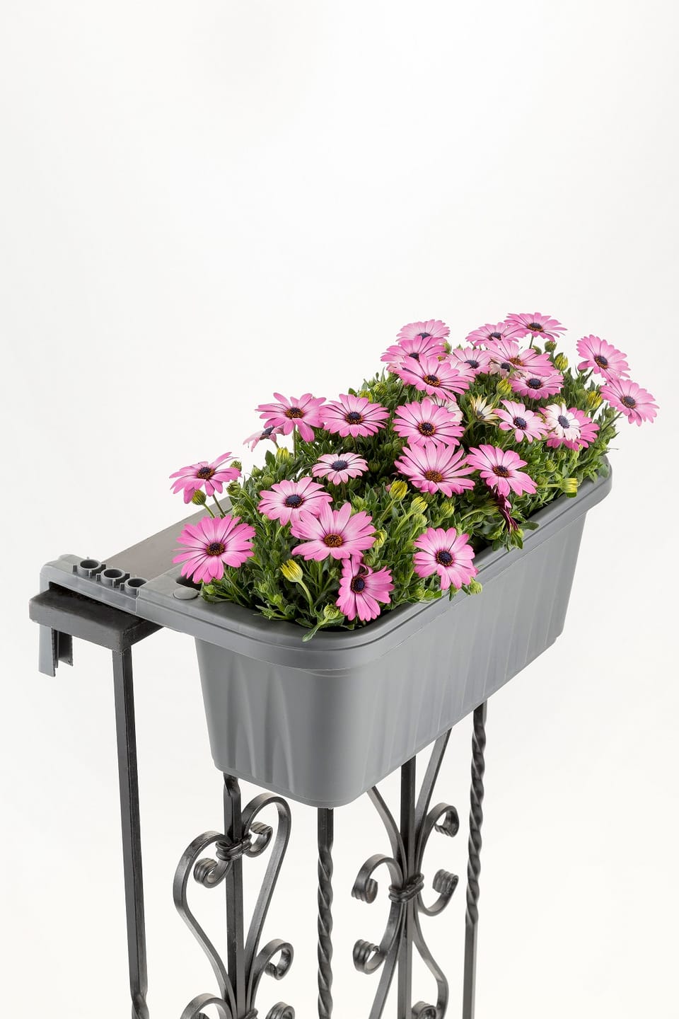 Fioriera Rondine 2