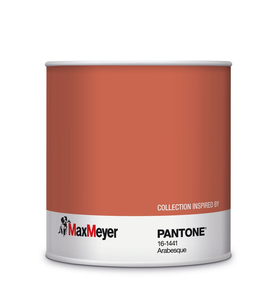 Le pitture MaxMeyer by PANTONE in esclusiva da Leroy Merlin 9