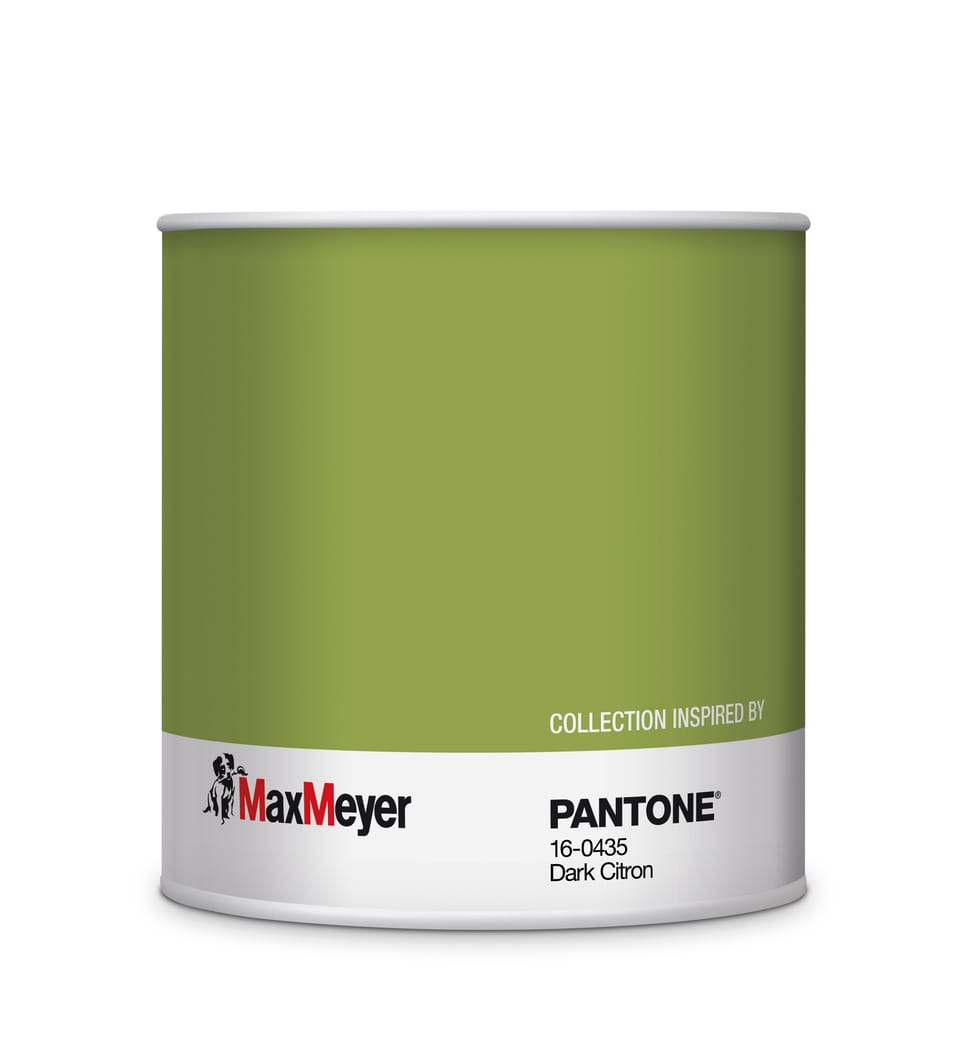 Le pitture MaxMeyer by PANTONE in esclusiva da Leroy Merlin 10
