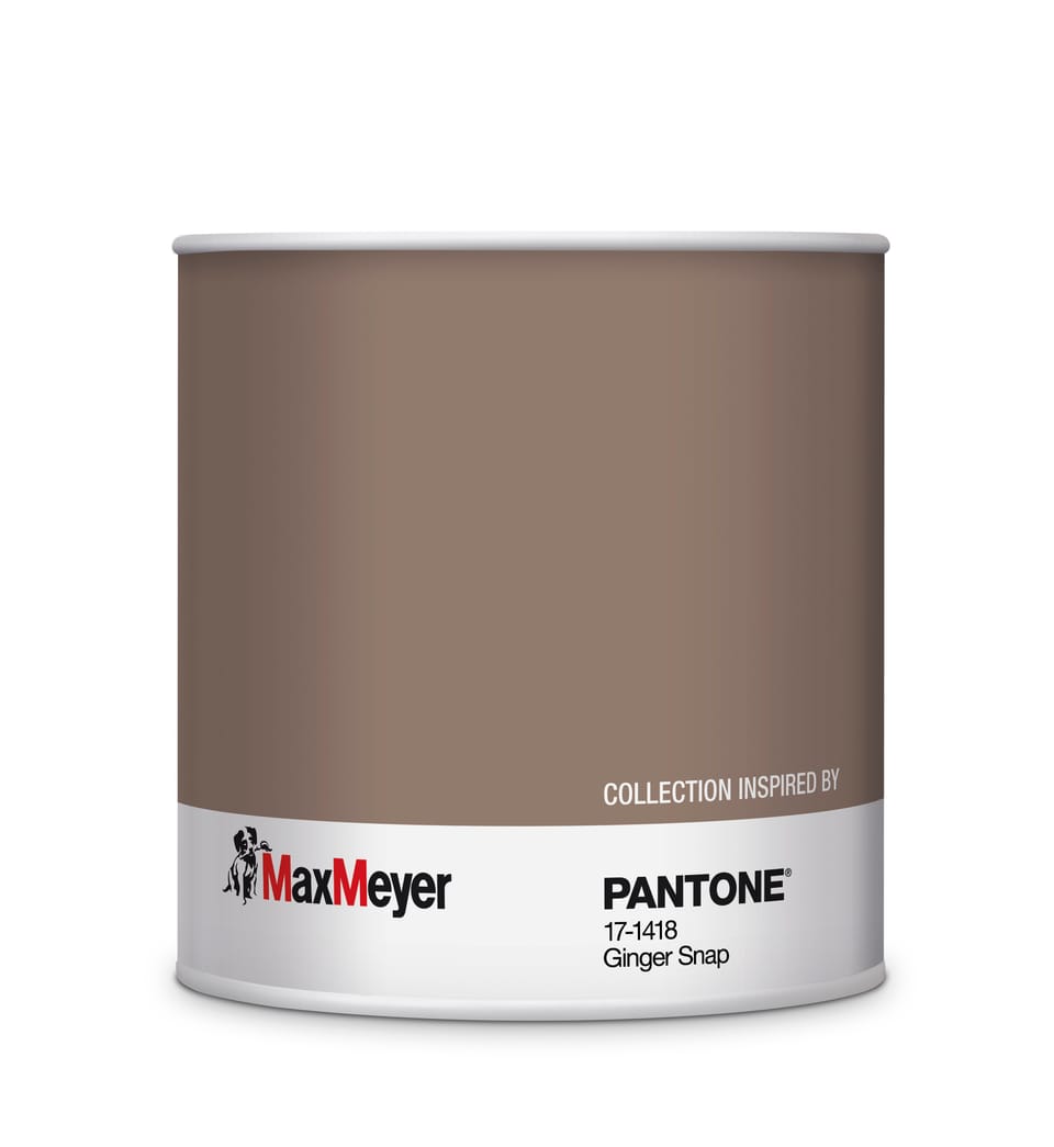 Le pitture MaxMeyer by PANTONE in esclusiva da Leroy Merlin 11