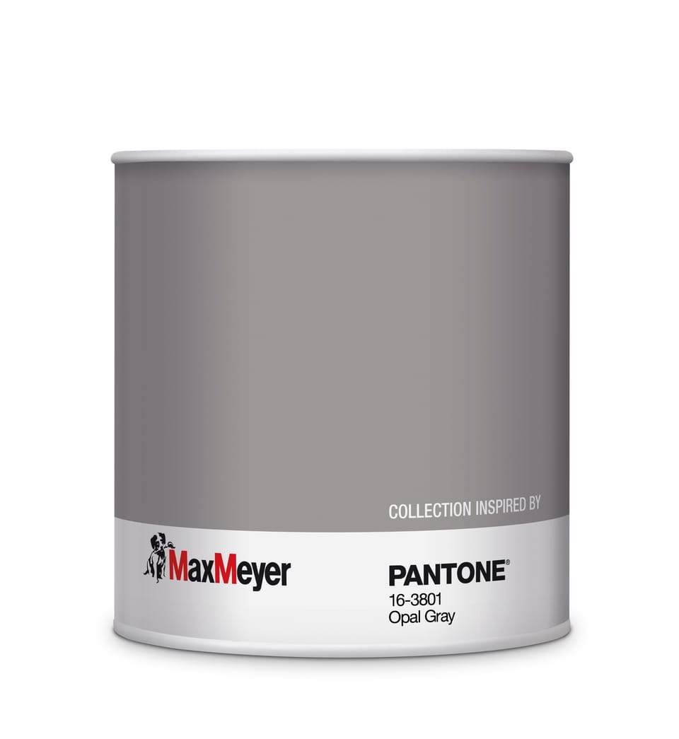 Le pitture MaxMeyer by PANTONE in esclusiva da Leroy Merlin 12