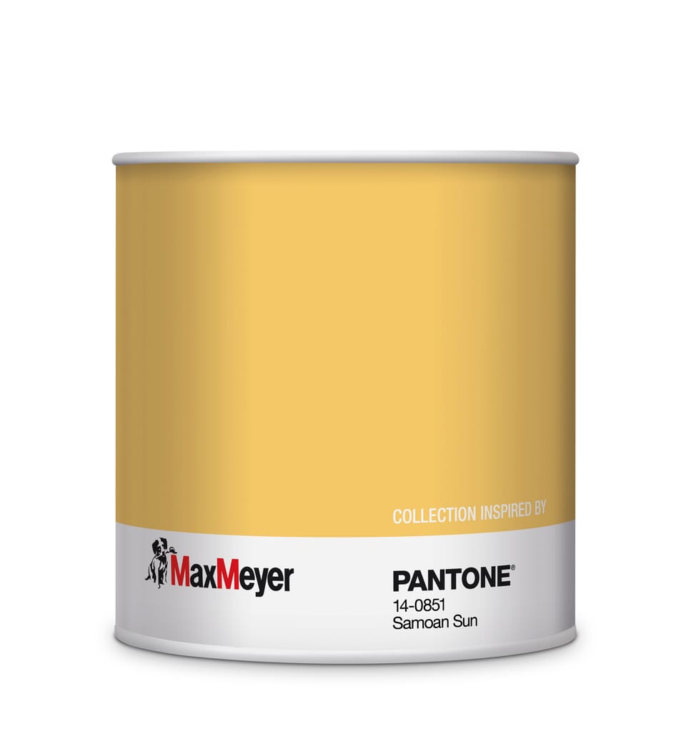 Le pitture MaxMeyer by PANTONE in esclusiva da Leroy Merlin 13