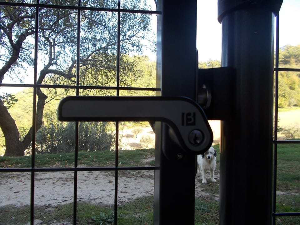 La recinzione solida e robusta 2