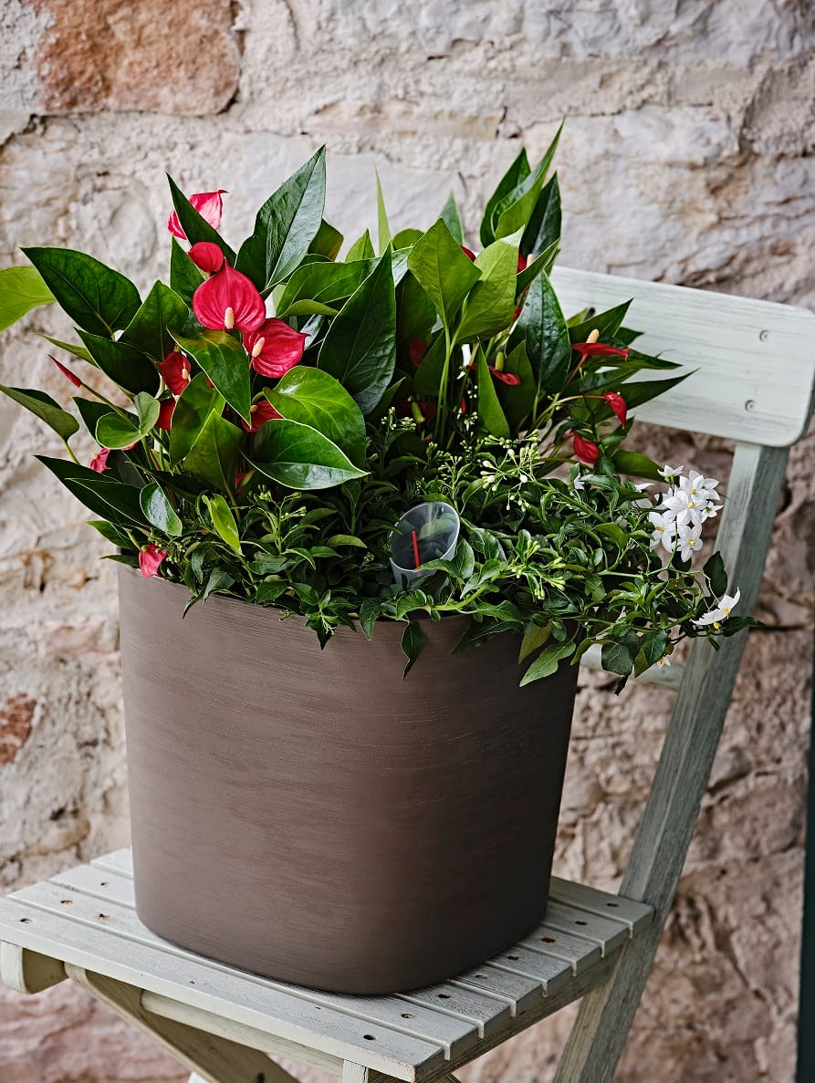 Vasi per indoor e outdoor 6