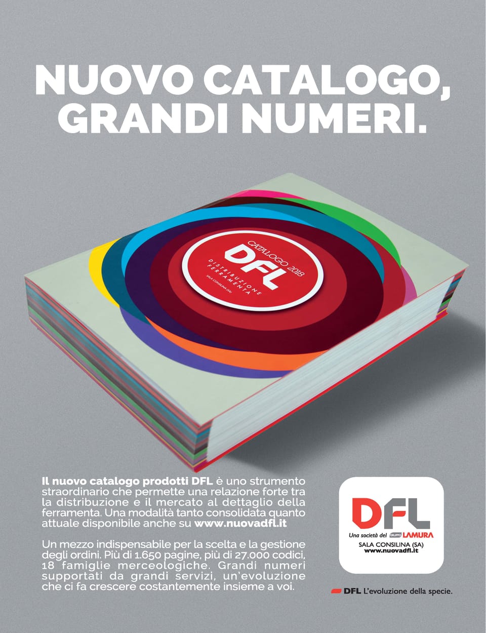 DFL: disponibile il nuovo catalogo! 2