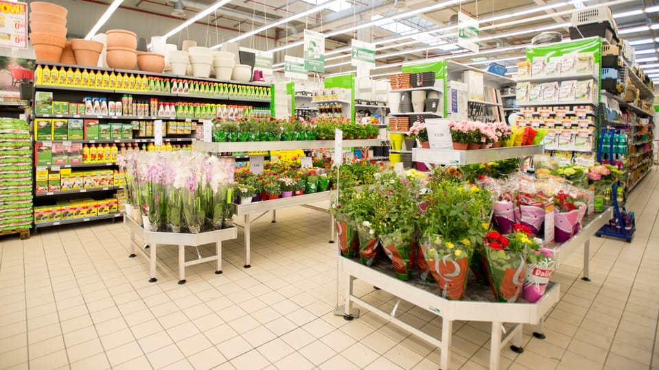 CFadda Carbonia: il restyling per i 10 anni 5