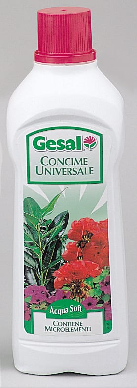 Compo rilancia Gesal 5