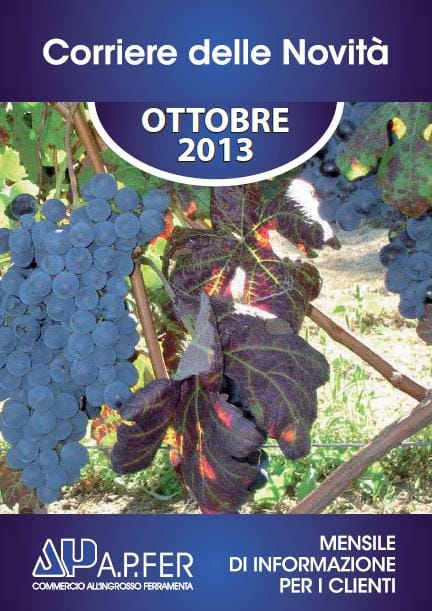 Chiusura positiva per il 2013 di A.P.FER 2