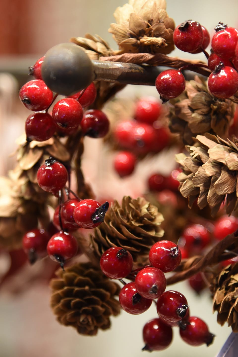 Flover inaugura il Villaggio di Natale 2014 9