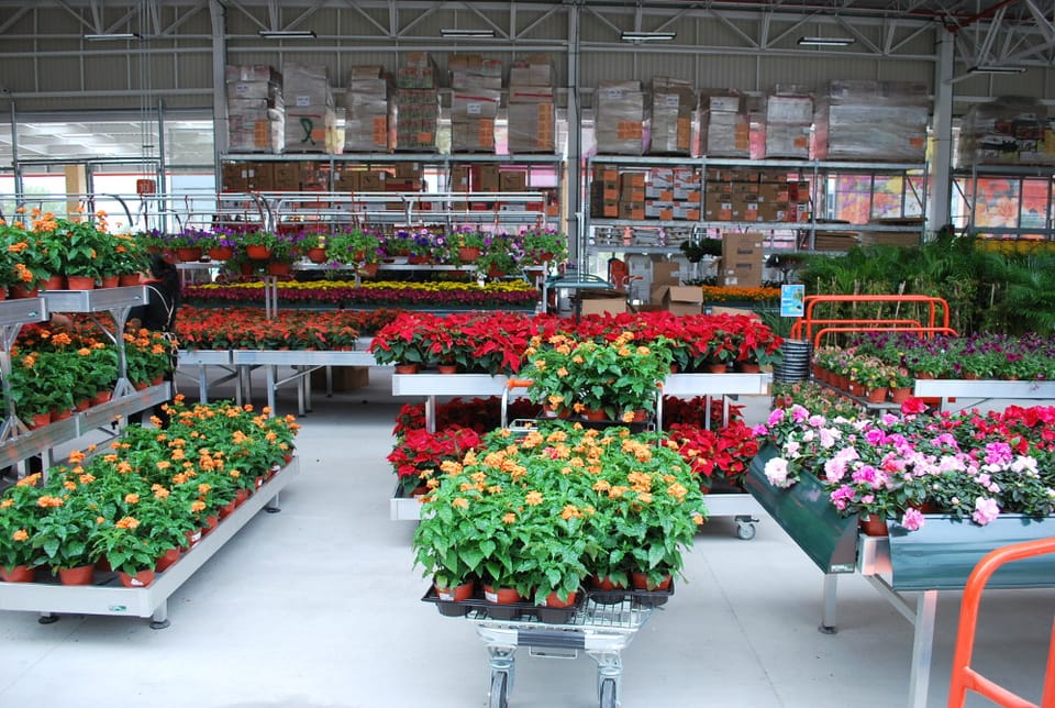 Il concept italiano del garden center vola oltreoceano  2