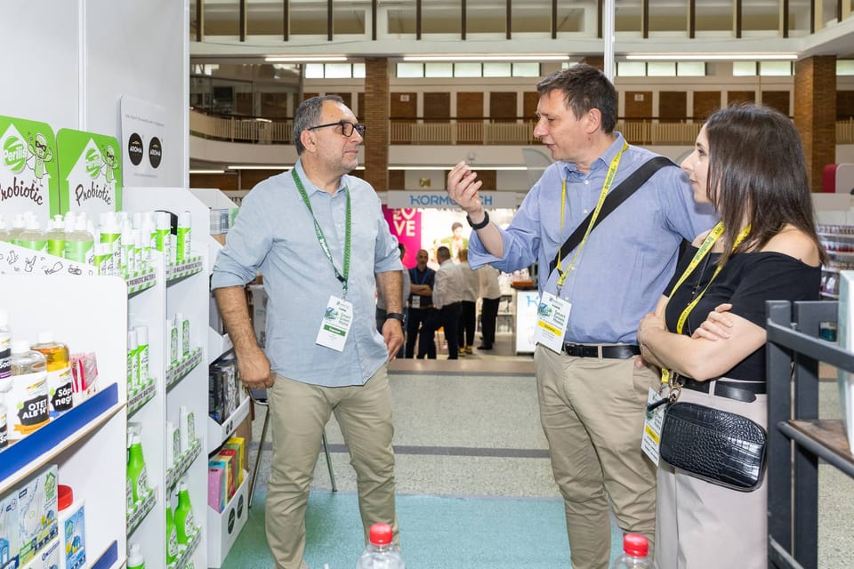 Il mercato rumeno si è incontrato a EXPO DIY 2024 6
