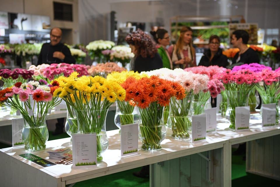 A Francoforte ritorna Floradecora  2