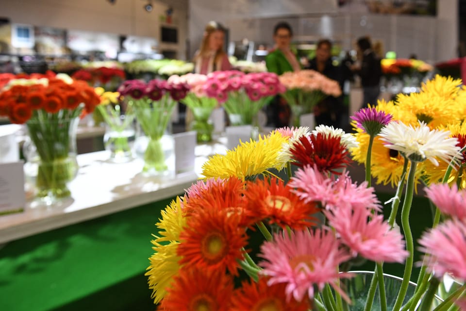 A Francoforte ritorna Floradecora  3