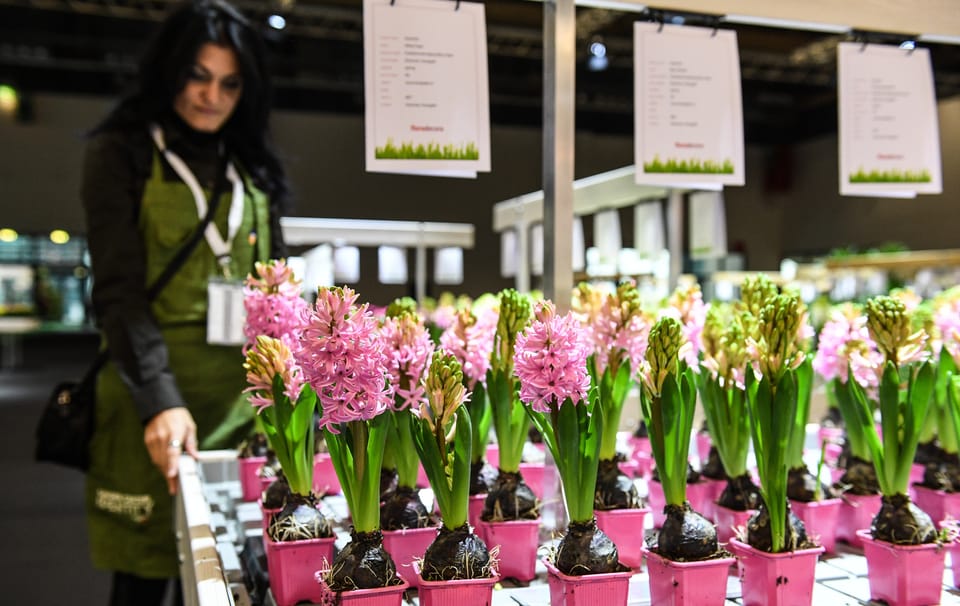 Floradecora: l’evento dedicato ai professionisti del florovivaismo 4