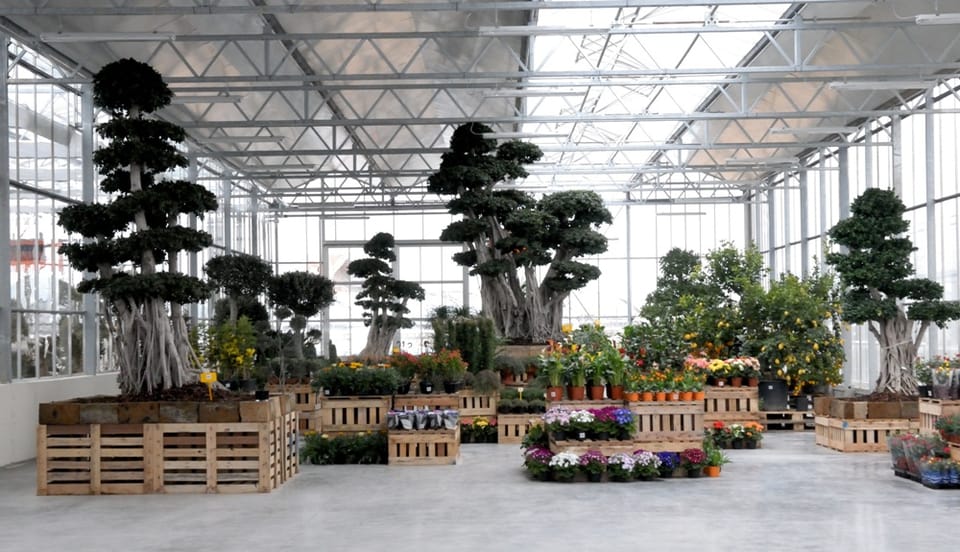 Florbusiness: la Puglia verde incontra il mercato 2