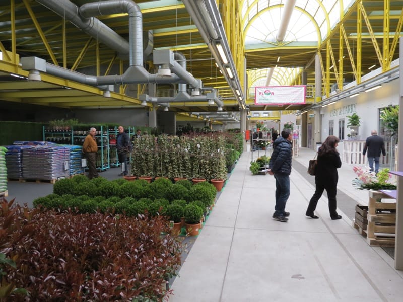 Florshop: il cash&carry per i garden center 3