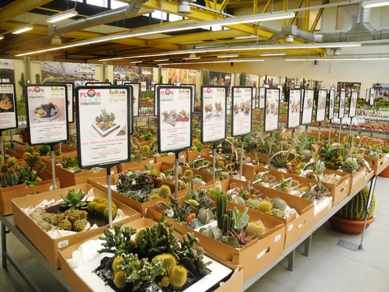 Florshop: il cash&carry per i garden center 4