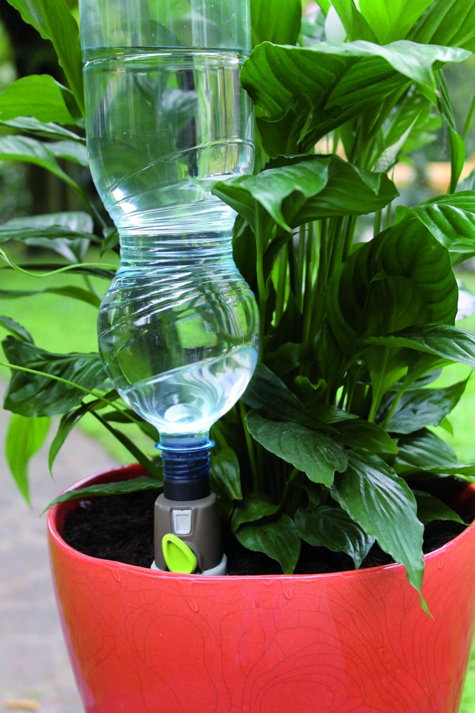 Aquaflora Holiday per irrigare le piante 2