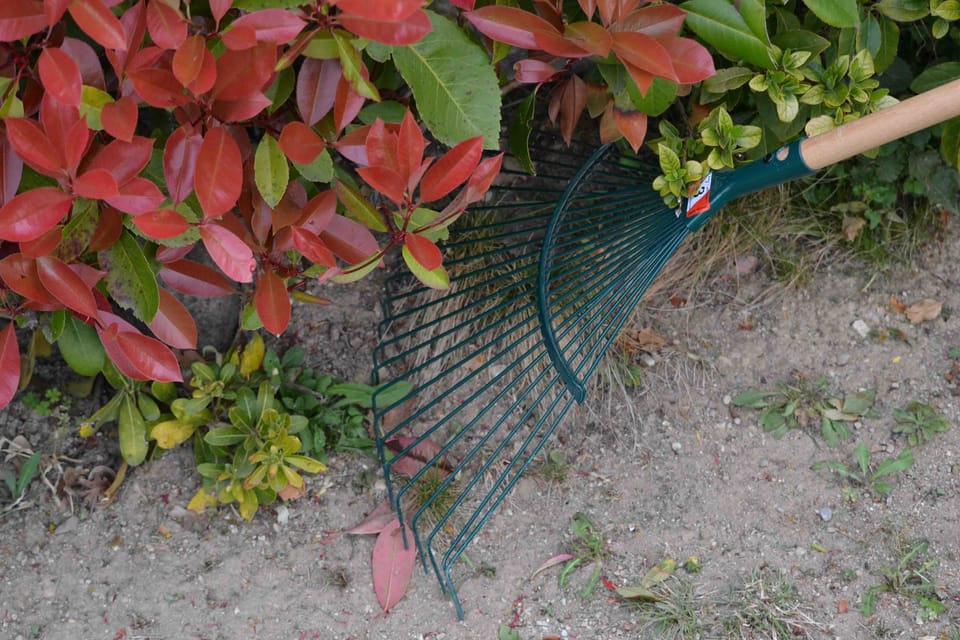 Handy raccoglie le foglie in giardino 3