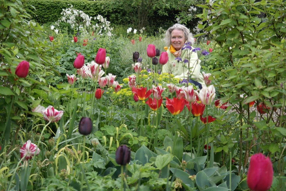 Villa Pisani ospita il Giardino dei Tulipani  3