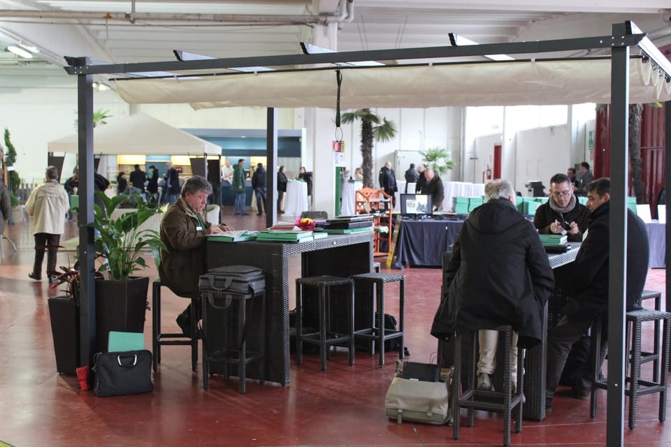 Oltre mille presenze all'open house Franzini 7