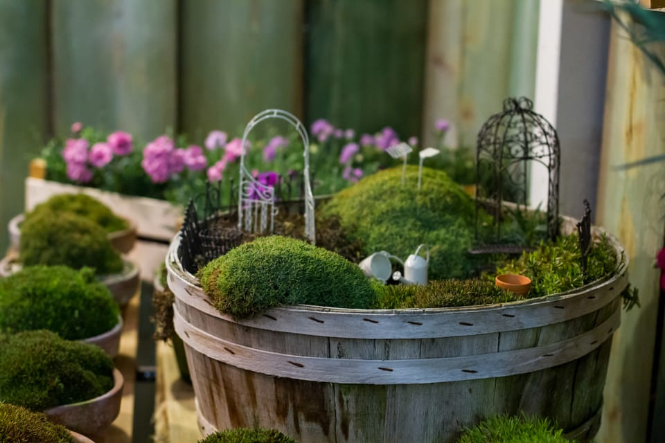 Myplant & Garden 2017: si annuncia un’edizione ancor più ricca! 7