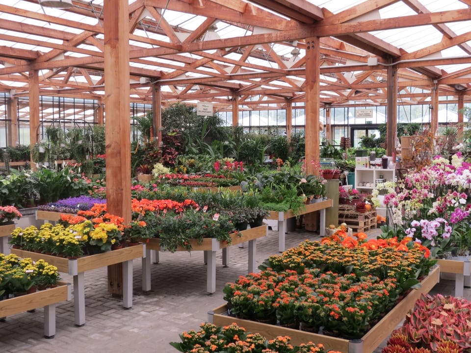 Cip Garden: speriamo che sia femmina 3