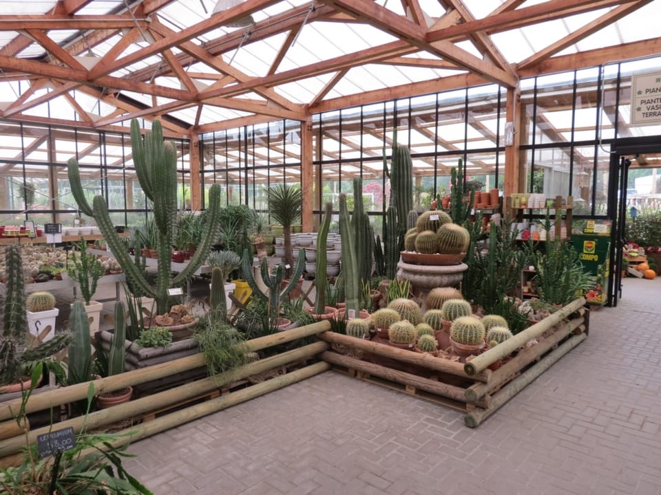 Cip Garden: speriamo che sia femmina 5