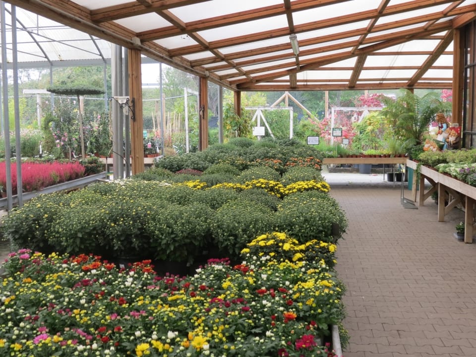 Cip Garden: speriamo che sia femmina 6