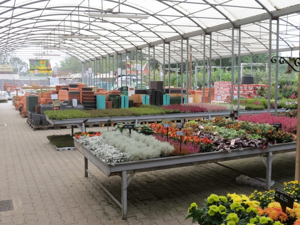 Cip Garden: speriamo che sia femmina 7