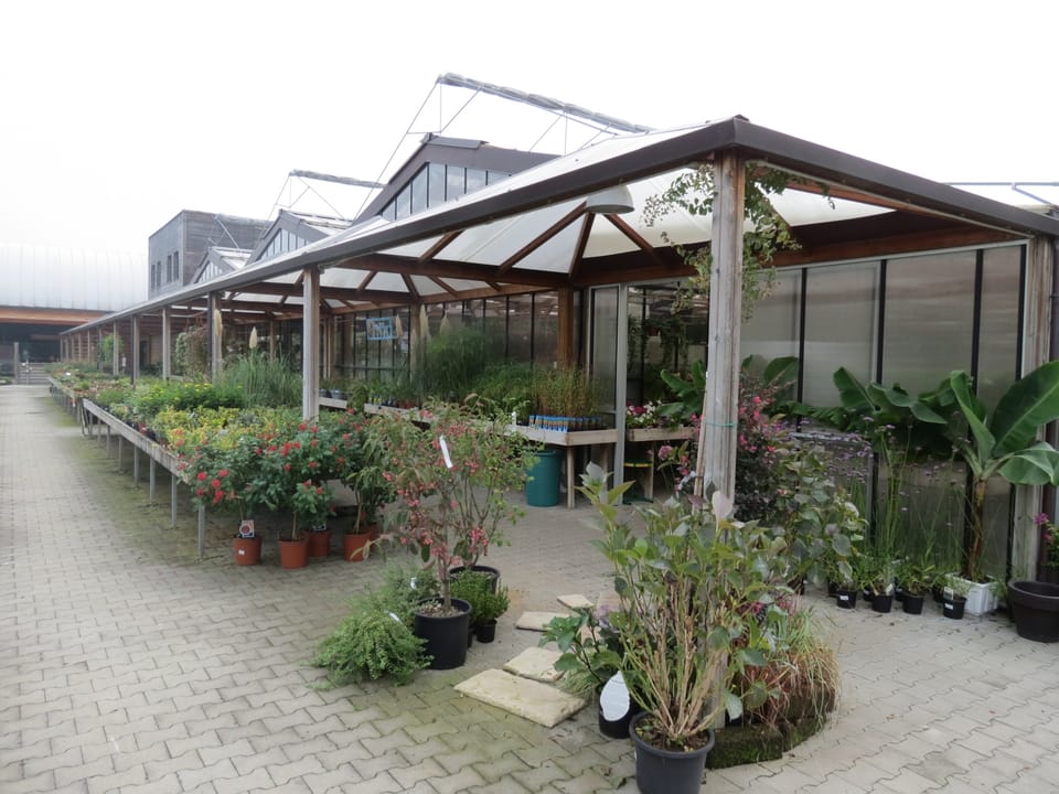 Cip Garden: speriamo che sia femmina 10