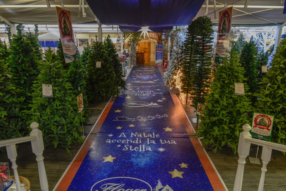 Flover inaugura il Villaggio di Natale 2014 4
