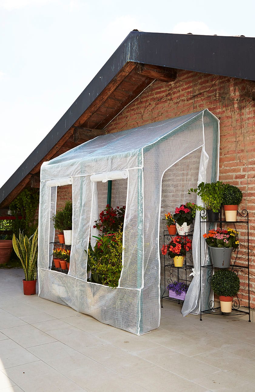 Serre per giardino Made in Italy 7