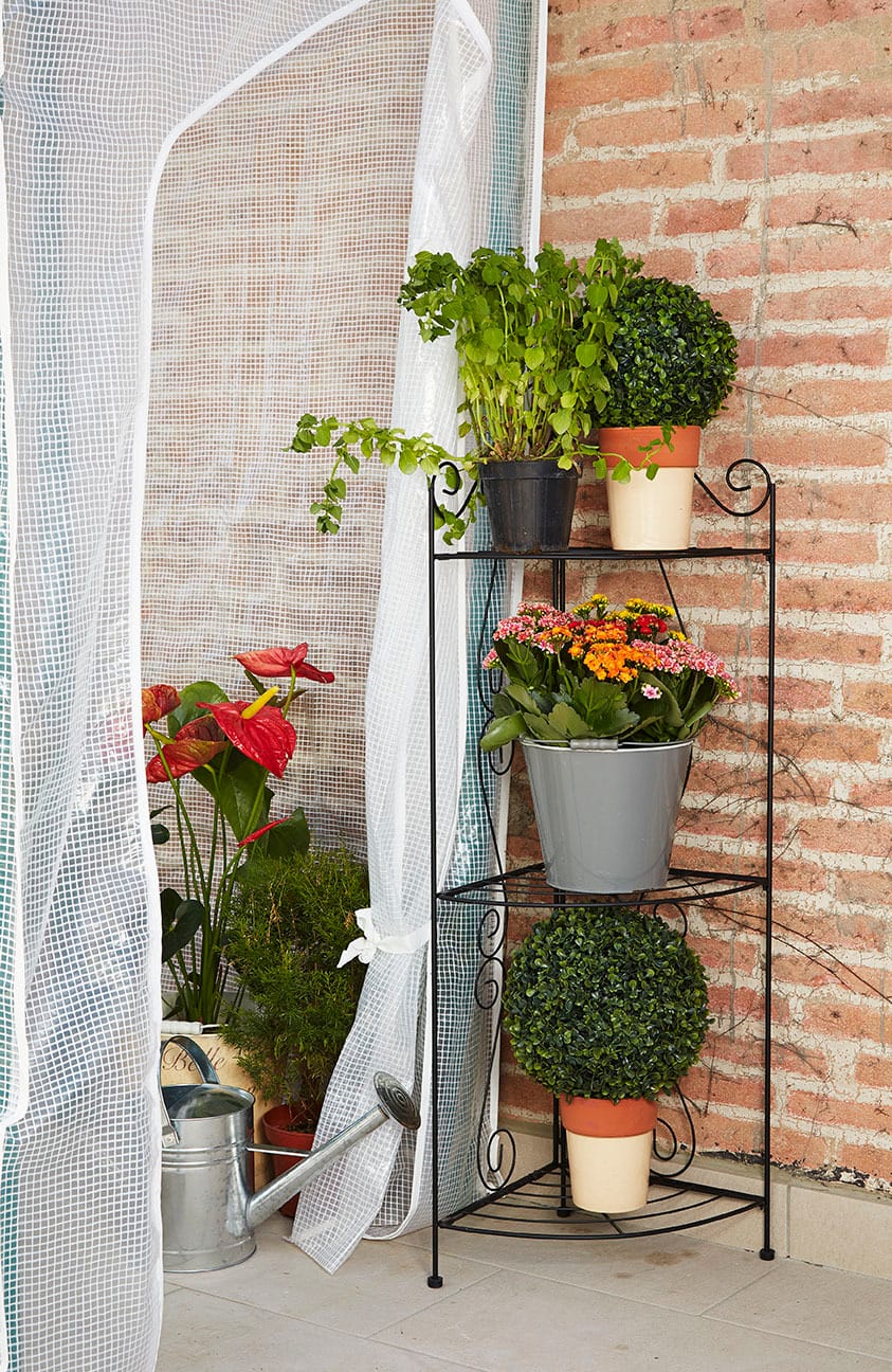 Serre per giardino Made in Italy 9