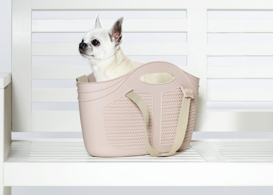 Borsa Mia Pet per cani XS 4