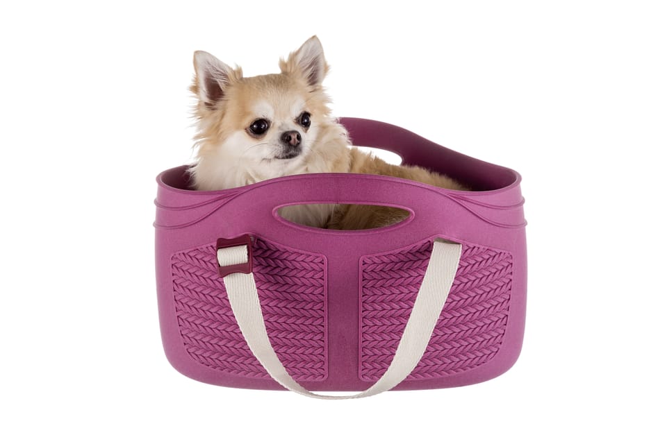 Borsa Mia Pet per cani XS 3