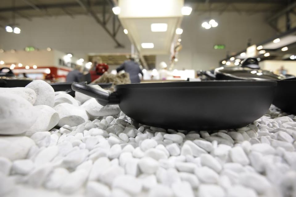 Homi si presenta e il pubblico apprezza 4