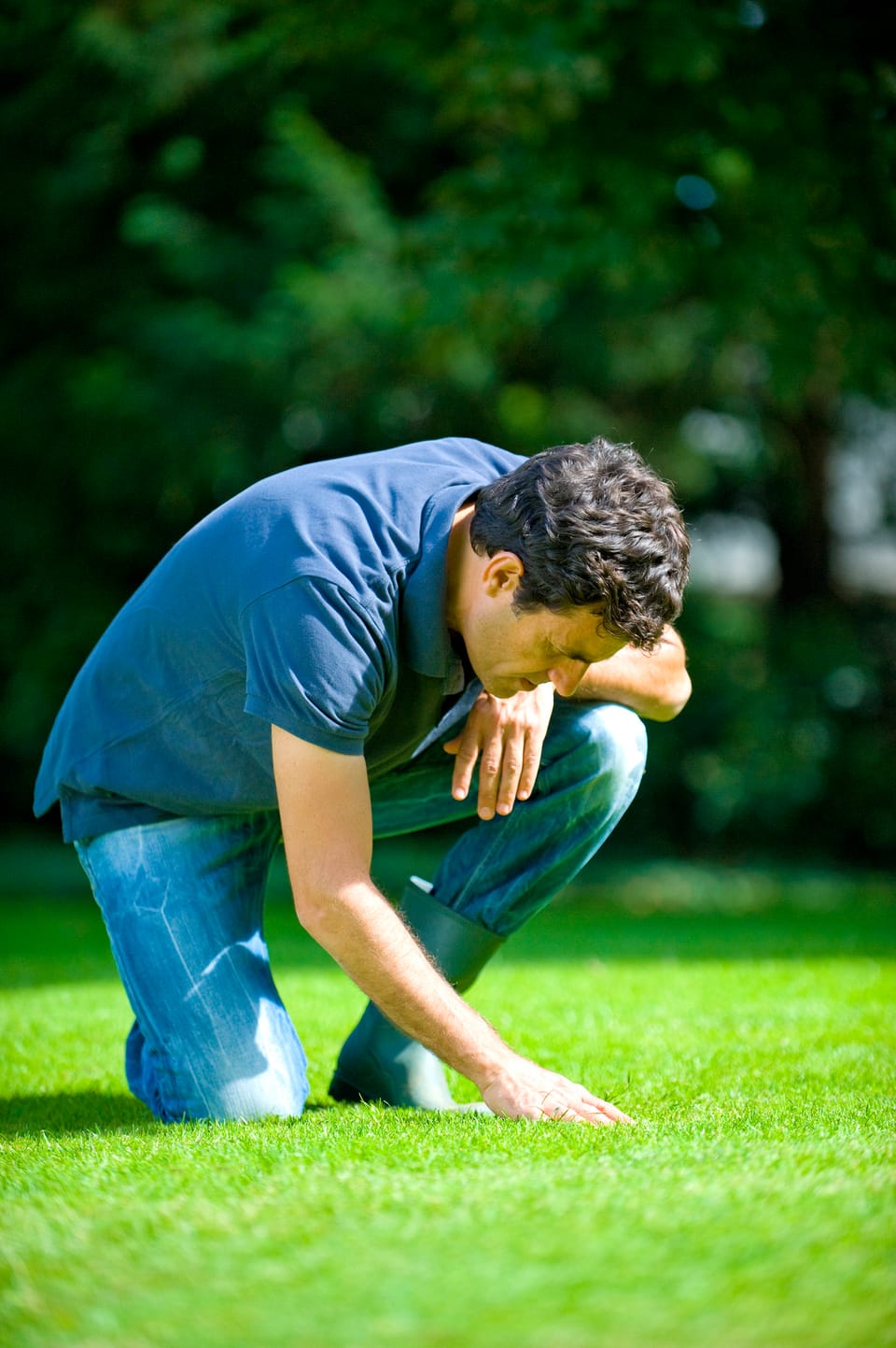 Il prato è più verde con Bayer Garden 2