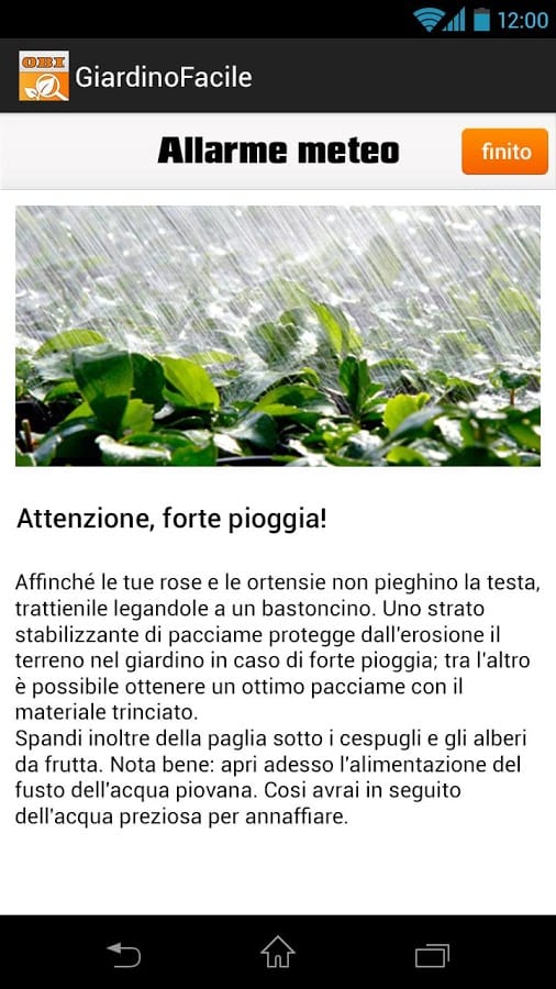 Con Obi il giardinaggio diventa facile 3