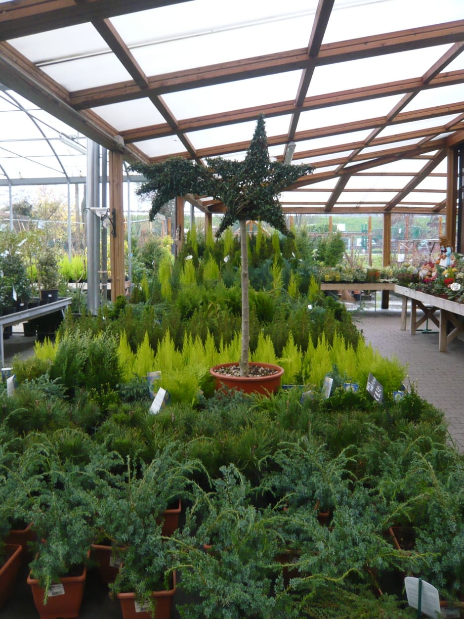 Cip Garden: speriamo che sia femmina 18