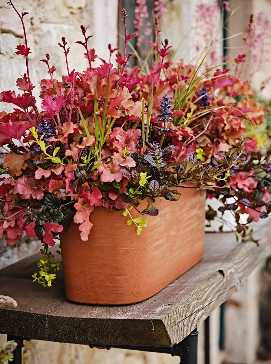 Vasi per indoor e outdoor 7