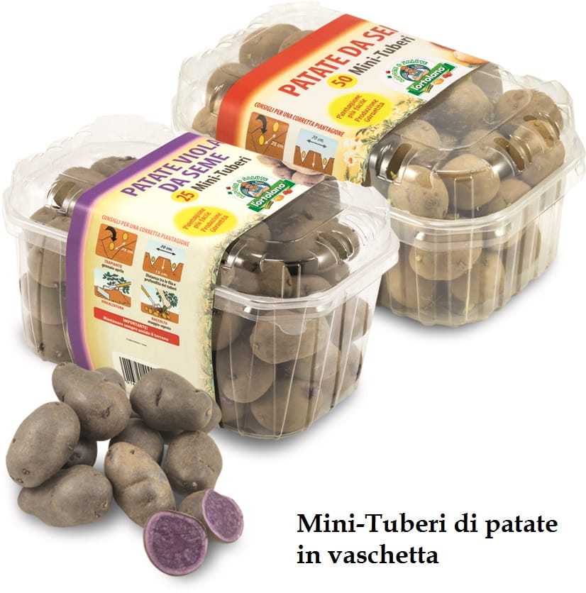 "Sapore & Salute": per il benessere dell'orto! 7