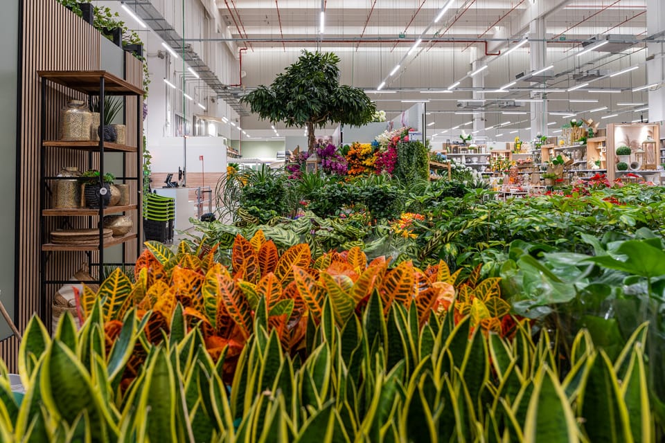 Leroy Merlin Garden di Cagliari: le foto del negozio 8