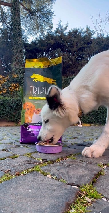 Triplo® Pet Carni Bianche e Riso 2