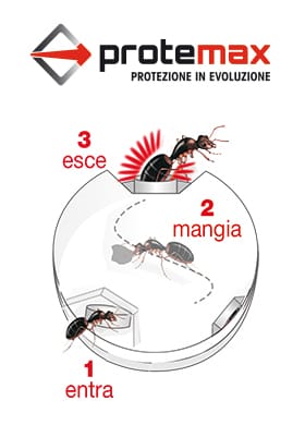 Insetticida Esca Gel Formiche 2