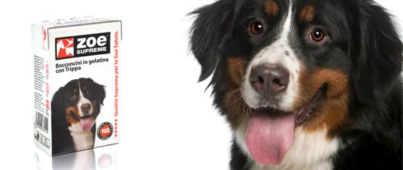 Pet food sano ed innovativo 2