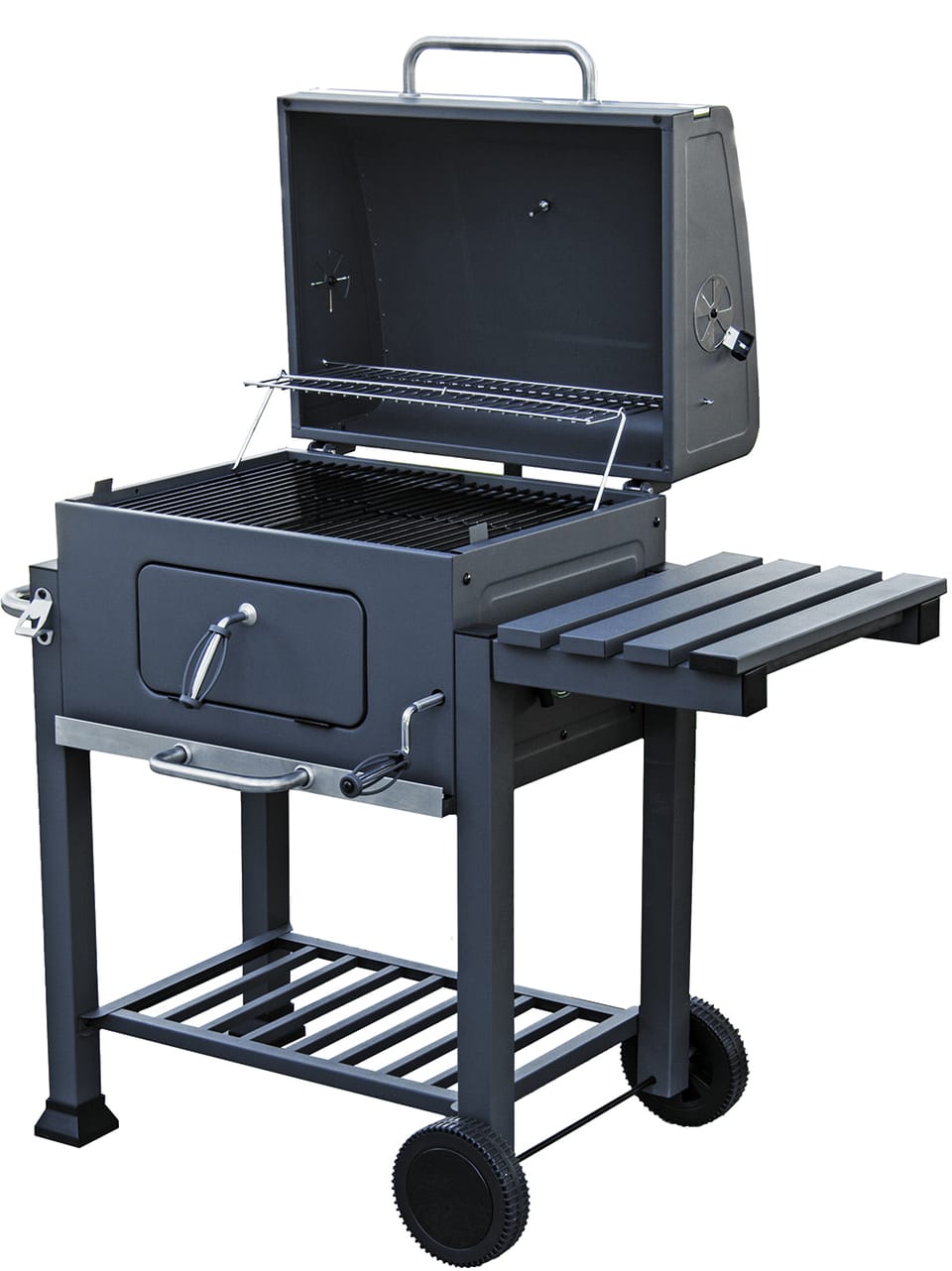 Barbecue Arizona Evergreen 3